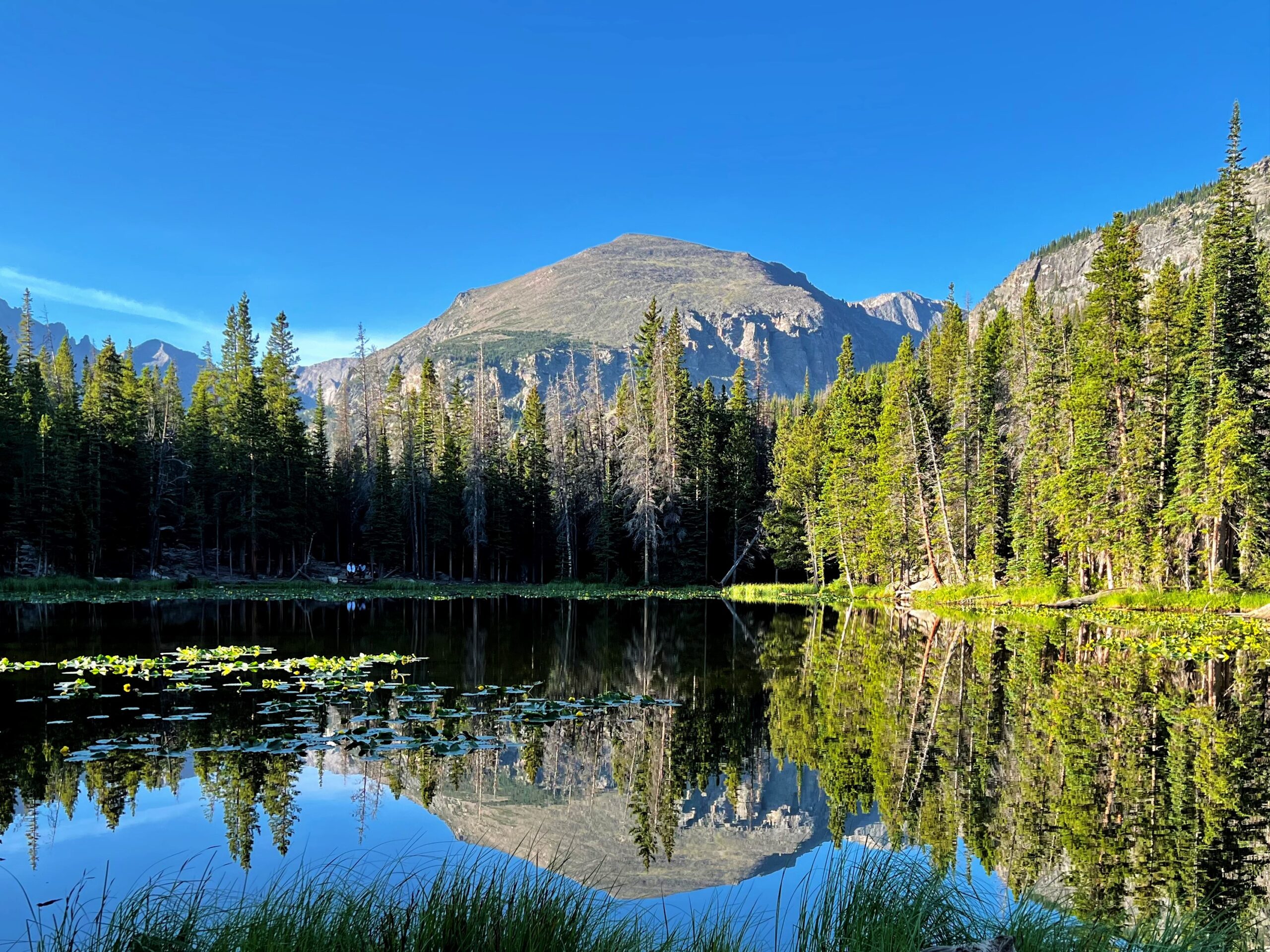 Ultimate Guide to Rocky Mountain National Park in Colorado - Trailing Away