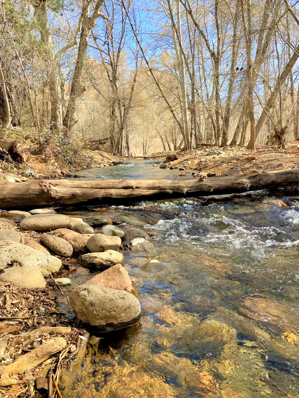 A creek in the Crescent Moon recreation area in Sedona, Arizona