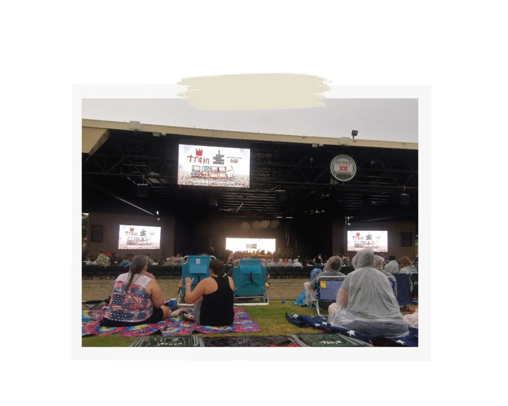 people sitting on the lawn at an outdoor summer concert