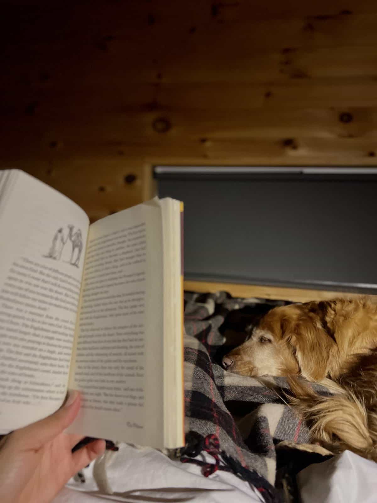 a hand holding a book