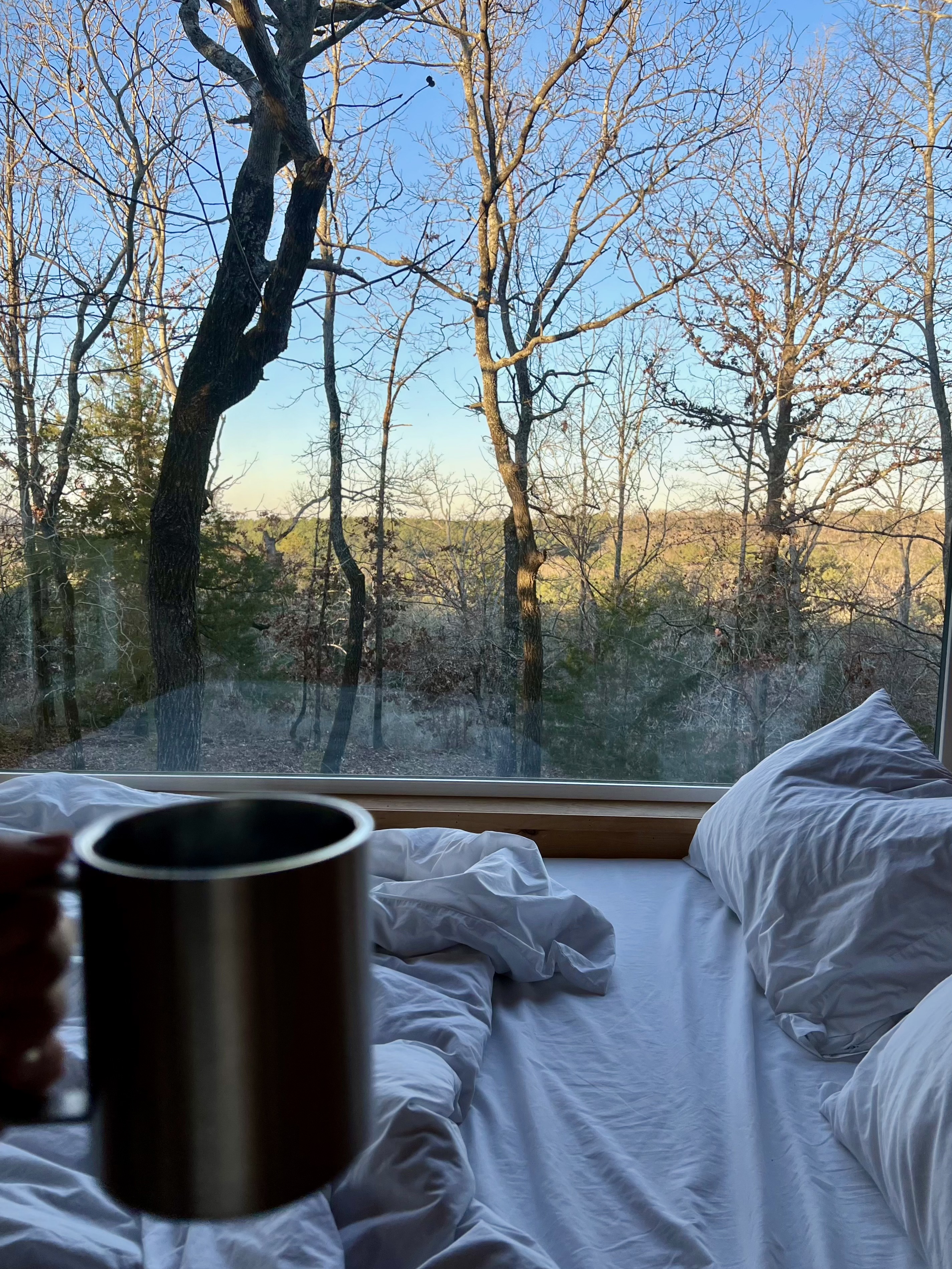 a hand holding a cup of coffee