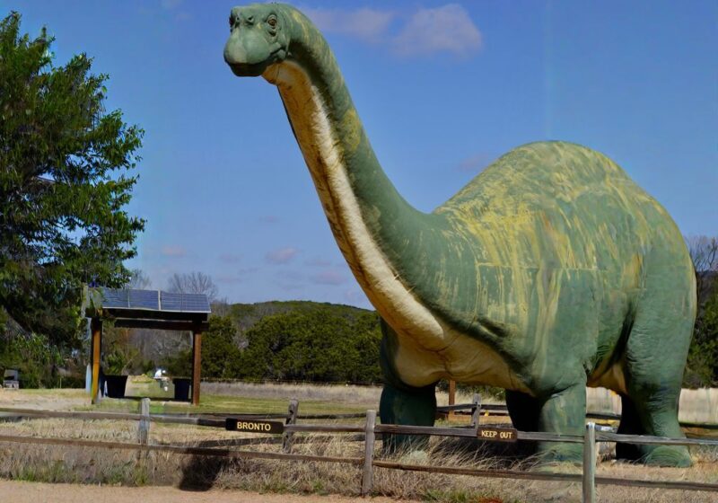 Dinosaur Valley State Park: A Perfect Day Trip from Dallas